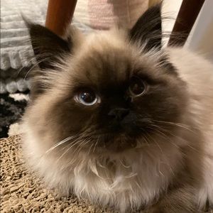 Meet your Posher, Jacob